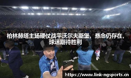 ng体育官方网站