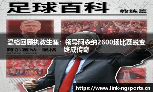 ng体育官网