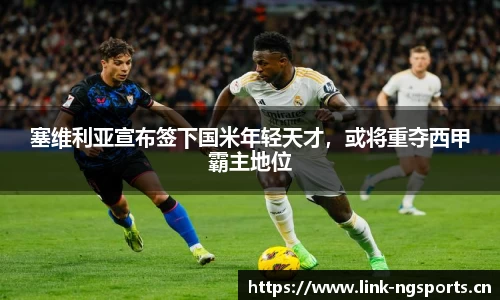 ng体育官网