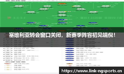 ng体育平台