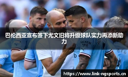 ng体育官方网站