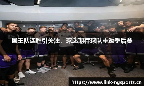 ng体育官网