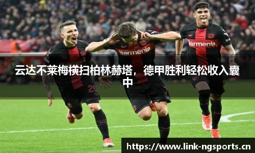 ng体育官网