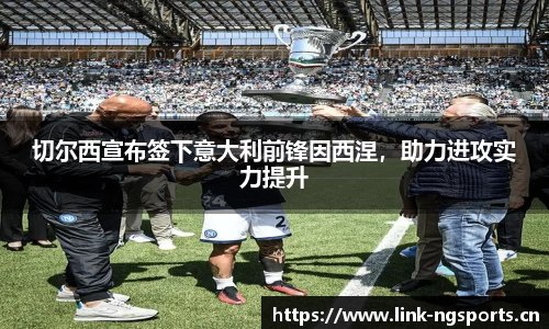 ng体育官网
