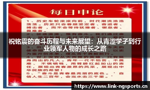 ng体育官网