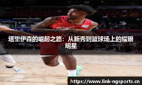 ng体育官网